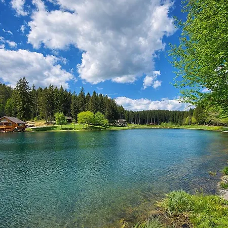 Lale - Frankenwald, Seeblick & Rennsteig Steinbach am Wald