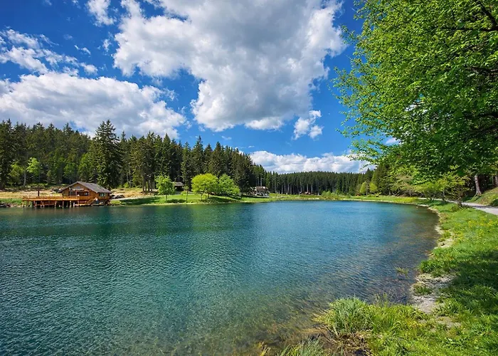 Lale - Frankenwald, Seeblick & Rennsteig Steinbach am Wald